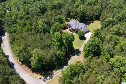 175 Sunhill Rd, Remlap, AL 35133 photo 5
