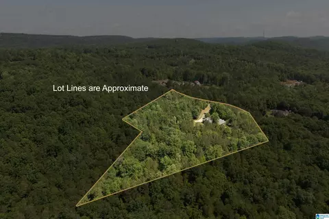 175 Sunhill Rd, Remlap, AL 35133 photo 69