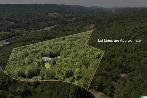 175 Sunhill Rd, Remlap, AL 35133 photo 67