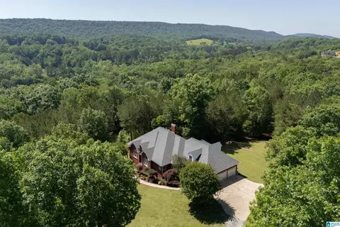 175 Sunhill Rd, Remlap, AL 35133 photo 2