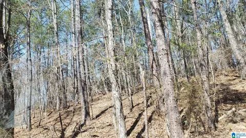 county road 520, Verbena, AL 36091