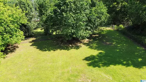 331 Tavel Rd, Warrior, AL 35180 photo 10