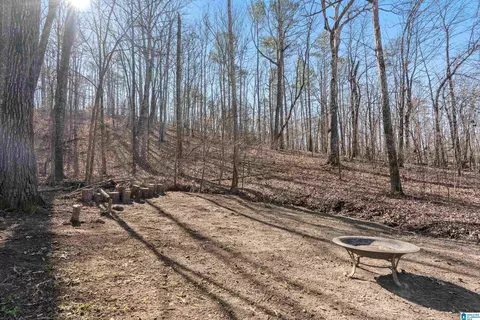 172 Silverleaf Dr, Pelham, AL 35124 photo 45