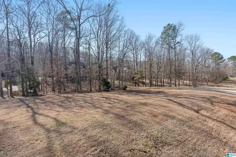 172 Silverleaf Dr, Pelham, AL 35124 photo 54
