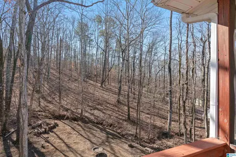 172 Silverleaf Dr, Pelham, AL 35124 photo 47