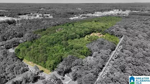 0 Jones Dairy Rd #0, Jasper, AL 35501