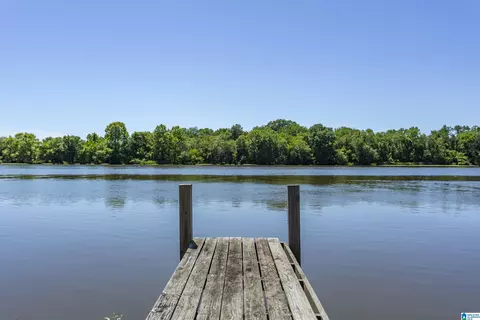 0 Thomas Ln #1, Childersburg, AL 35044