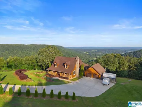 428 Eagle Ridge Rd, Oneonta, AL 35121 photo 7