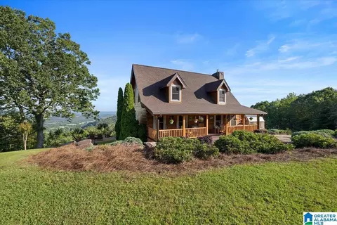 428 Eagle Ridge Rd, Oneonta, AL 35121 photo 1