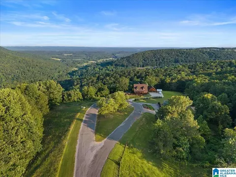 428 Eagle Ridge Rd, Oneonta, AL 35121 photo 52
