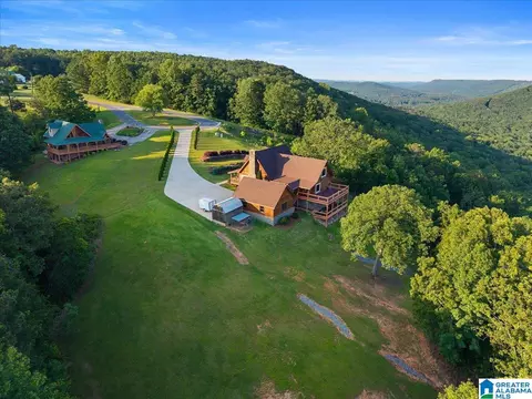 428 Eagle Ridge Rd, Oneonta, AL 35121 photo 48