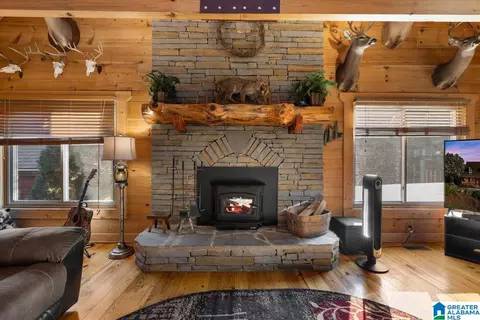 428 Eagle Ridge Rd, Oneonta, AL 35121 photo 14