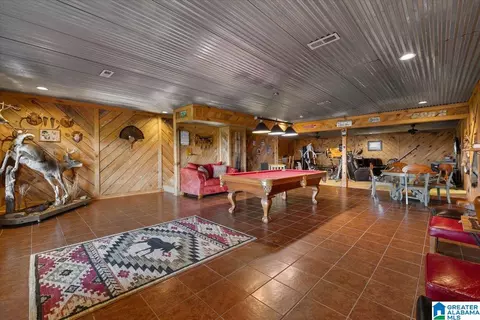 428 Eagle Ridge Rd, Oneonta, AL 35121 photo 33