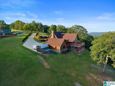 428 Eagle Ridge Rd, Oneonta, AL 35121 photo 49