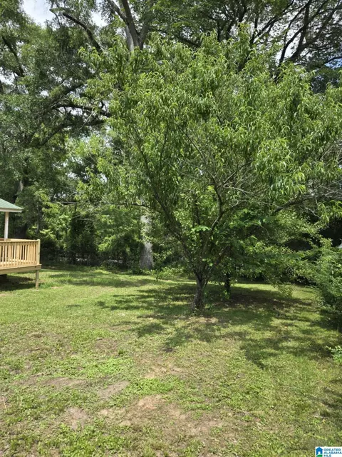 10511 Highway 17, Maylene, AL 35114 photo 21