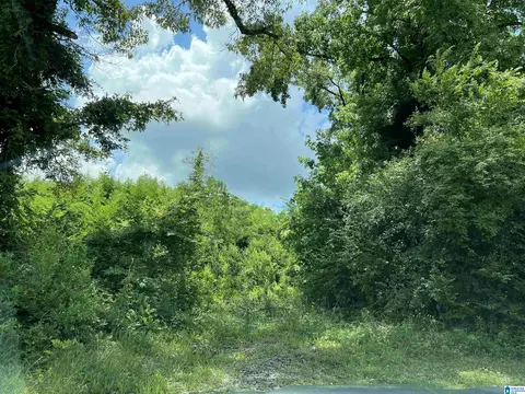 5584 Highway 25 #0, Montevallo, AL 35115