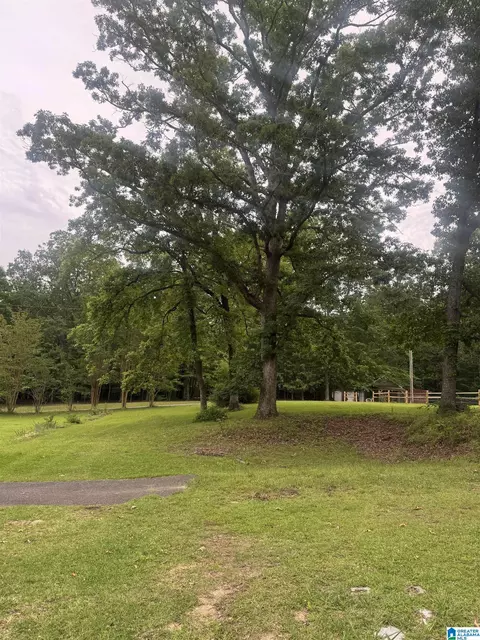 9709 Mize Rd, Remlap, AL 35133 photo 12