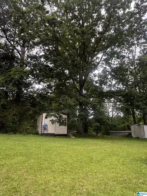 9709 Mize Rd, Remlap, AL 35133 photo 3