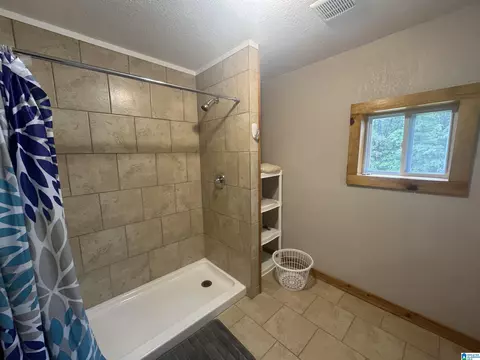 Bath - 83 Courington Rd, Parrish, AL 35580 photo 2 of 2