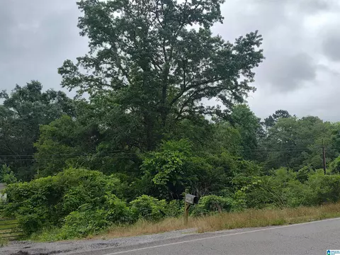3640 Logan Martin Dam Rd #3640, Cropwell, AL 35054