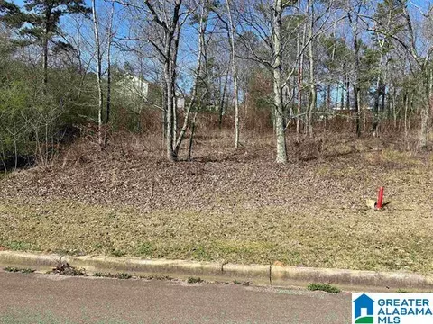 1 Summit Ridge Way #60, Argo, AL 35120