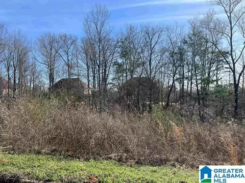 1 Summit Ridge Way #76, Argo, AL 35120