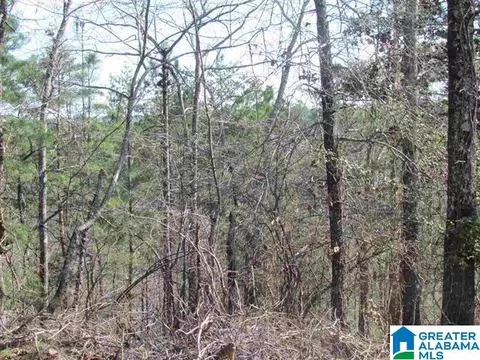 0000 Cogswell Avenue Apt Vacant 61- Acres #VACANT 61+- ACRES, Pell City, AL 35125