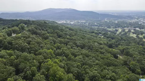 0 Lanier Pl #26.25 AC, Anniston, AL 36207