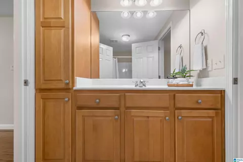 22582 Iron Masters Loop, Mc Calla, AL 35111 photo 44
