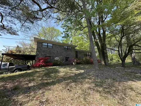 2636 Skyline Dr, Warrior, AL 35180 photo 11