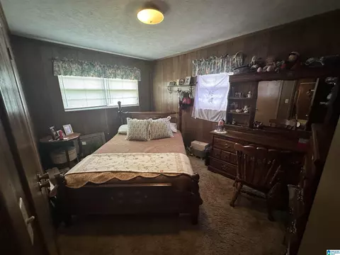 2636 Skyline Dr, Warrior, AL 35180 photo 6