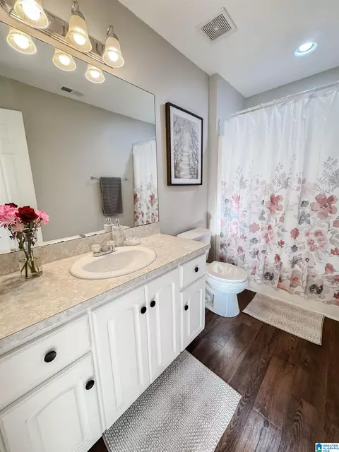 Bath - 489 Bailey Loop Rd, Gardendale, AL 35071 photo 4 of 4