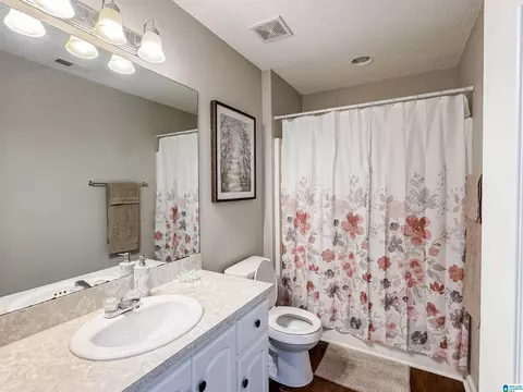 Bath - 489 Bailey Loop Rd, Gardendale, AL 35071 photo 3 of 4