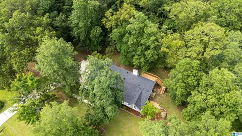 Other - 131 Forest Dr, Warrior, AL 35180 photo 4 of 6