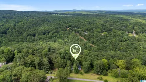 Other - 131 Forest Dr, Warrior, AL 35180 photo 5 of 6