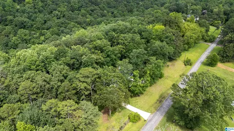 View/Area - 131 Forest Dr, Warrior, AL 35180 photo 2 of 5