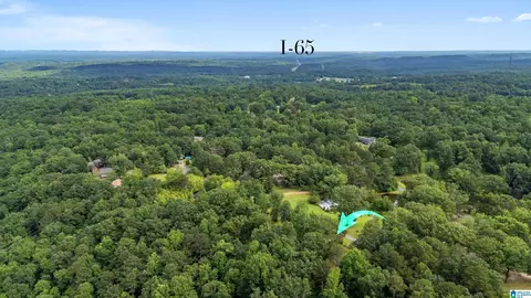 View/Area - 131 Forest Dr, Warrior, AL 35180 photo 5 of 5