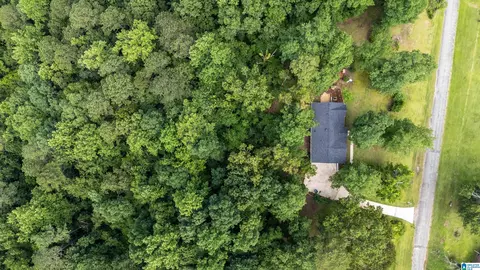 View/Area - 131 Forest Dr, Warrior, AL 35180 photo 4 of 5