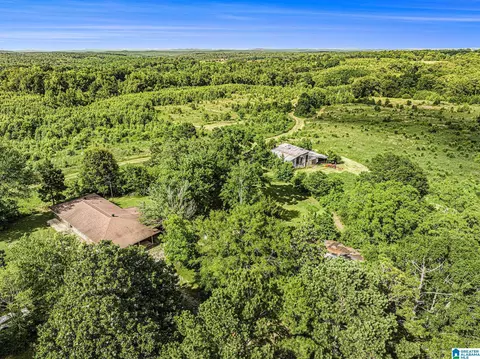 1270 County Road 39, Clanton, AL 35046 photo 6