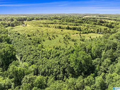 1270 County Road 39, Clanton, AL 35046 photo 7