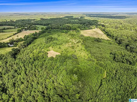1270 County Road 39, Clanton, AL 35046 photo 15