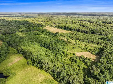 1270 County Road 39, Clanton, AL 35046 photo 14