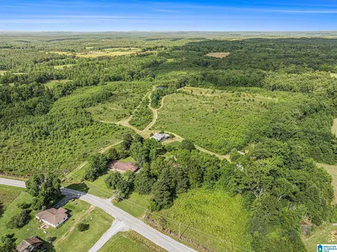 1270 County Road 39, Clanton, AL 35046 photo 5