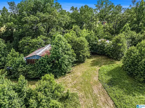 1270 County Road 39, Clanton, AL 35046 photo 13