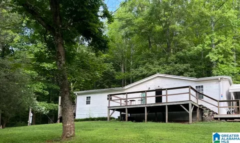 203 Young Rd, Remlap, AL 35133 photo 3