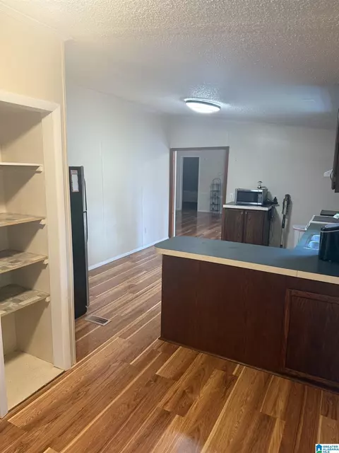 203 Young Rd, Remlap, AL 35133 photo 17