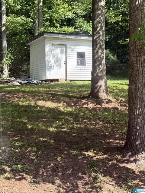 203 Young Rd, Remlap, AL 35133 photo 4