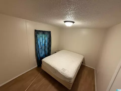 203 Young Rd, Remlap, AL 35133 photo 26