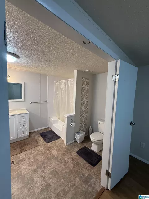 203 Young Rd, Remlap, AL 35133 photo 23