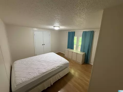 203 Young Rd, Remlap, AL 35133 photo 19